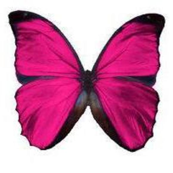 Meet your Posher, Samantha - Picture 1 of 1